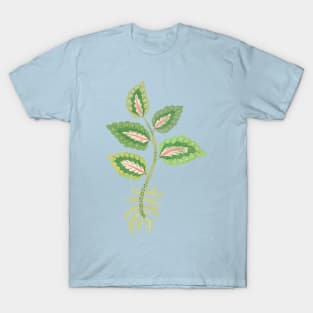 Coleus Cutting T-Shirt